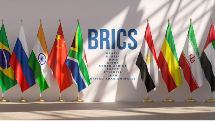 Commentary on BRICS Economies